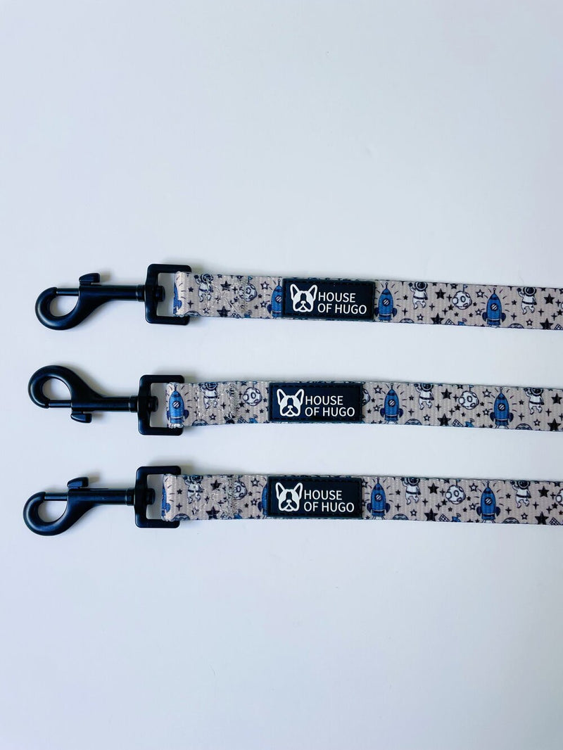 Buzz Collar & Lead Set