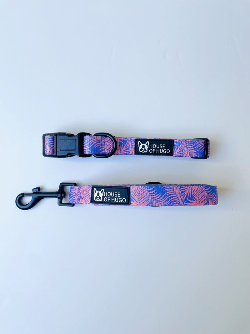 Miami Collar & Lead Set